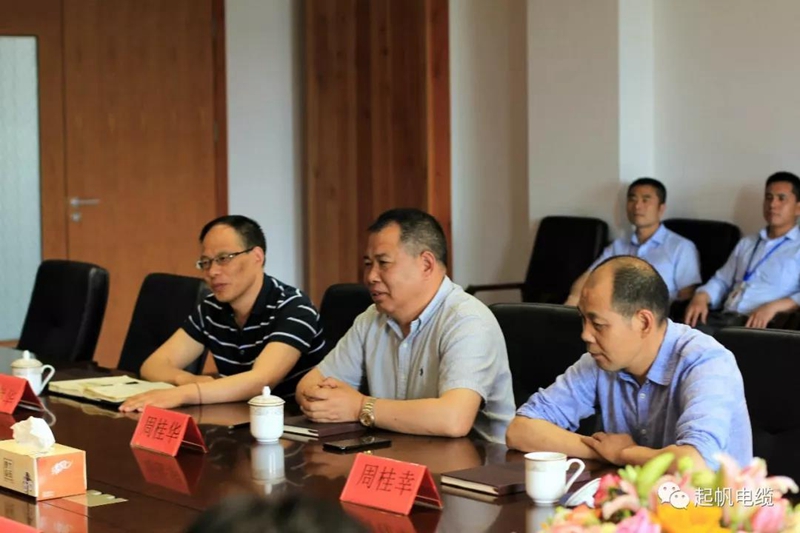 安徽省池州市市長(zhǎng)雍成瀚等參觀調(diào)研起帆電纜總部